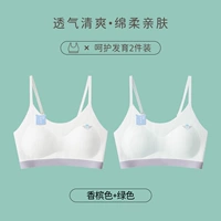 Зеленые антибактериальные бретели, цвета шампанского