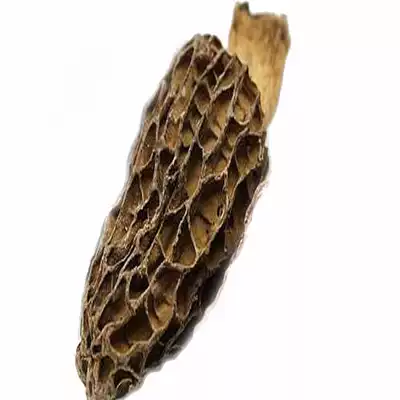 Morchella wild dry food Morel edible special agricultural products Jilin Changbai Mountain wild fungus