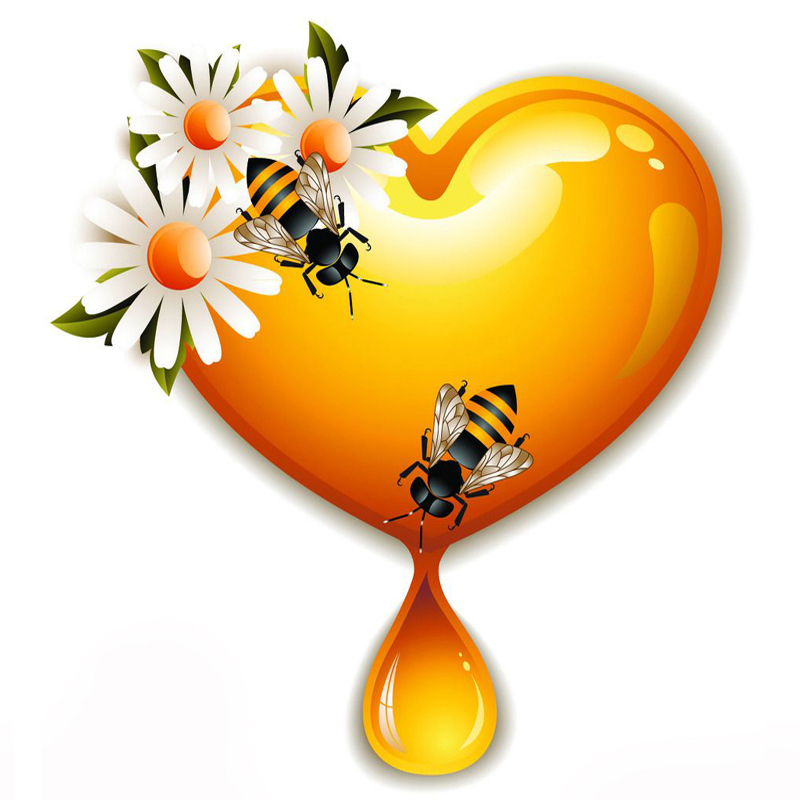 Honey pure honeycombed honey small package wild pure natural farmhouse self-produced wild native honey 100 nectar