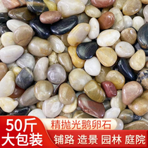 Hebei Natural Rain Flower Stone Paving Garden Landscaped Landscape Flower Pots Patio Paved couleur cobblestone fish tank building