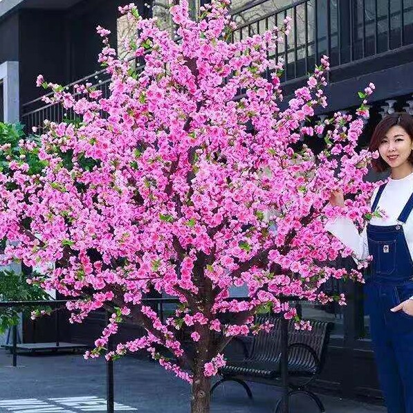 山顶匠人园艺中心