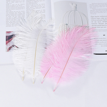 ins photo props white pink ostrich feather decoration girl net red posing cosmetics shooting background