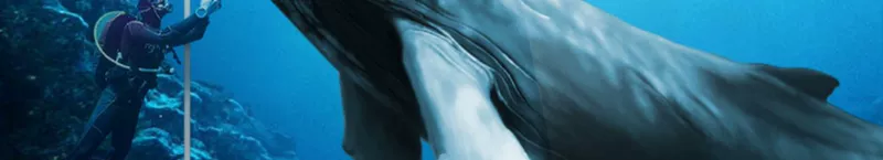 Haier TV mạng thông minh độ phân giải cao 55 inch LCD wifi thoại 4k máy tính bảng Android LU55C51 - TV