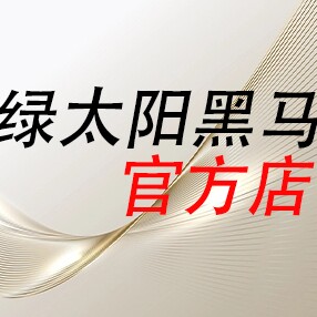 绿太阳黑马水泵官方店