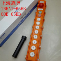 Seno TNHA1-65HB COB-65HB waterproof wagon switch Lifting button 10 key with emergency stop button