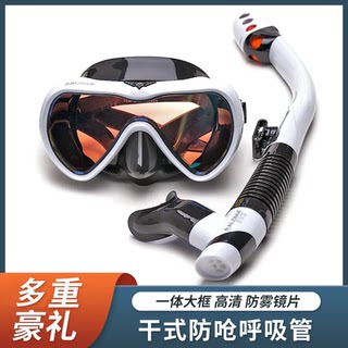 Single-Lens Anti-Fog Tempered Glass Adult Full Dry Snorkeling Set with Mask and Snorkel Two-Piece Set