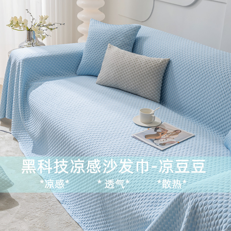 Black Technology Summer Cool Smooth Sofa Mat Cat Cat Cap Clean Simple Modern Bean Sofa Cover Cover