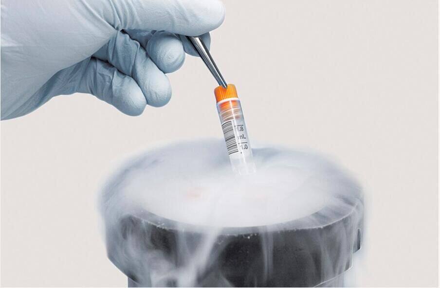 Low temperature label paper test tube with bottle cover sticker liquid nitrogen - 196 degree adhesive paper 25 5 9 5 code paper