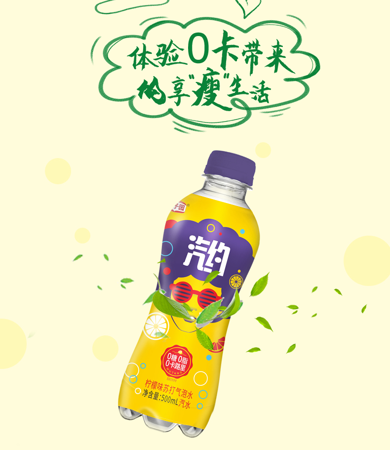 0糖0脂0卡 500mlx12瓶 栗子园 汽约 气泡苏打水 26.95元包邮 买手党-买手聚集的地方