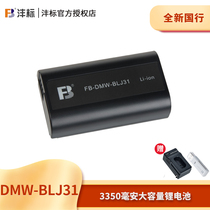 Fengbiao Panasonic DMW-BLJ31 battery Panasonic S1 S1R S1H camera battery decoding spot