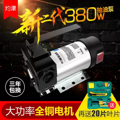 Pumping Rod all copper Silent Explosion-proof solvent oil diesel tank pump set diesel 12v24 Volt universal injection machine