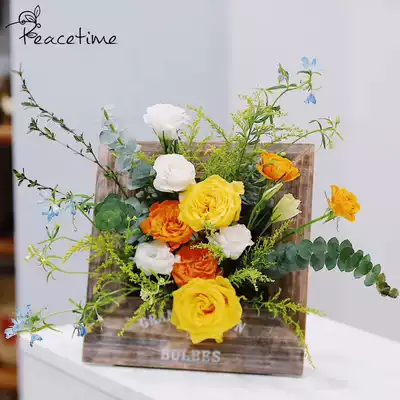 Peacetime French modern simple square large D wooden waterproof cultivation flower pot fleshy breeding container