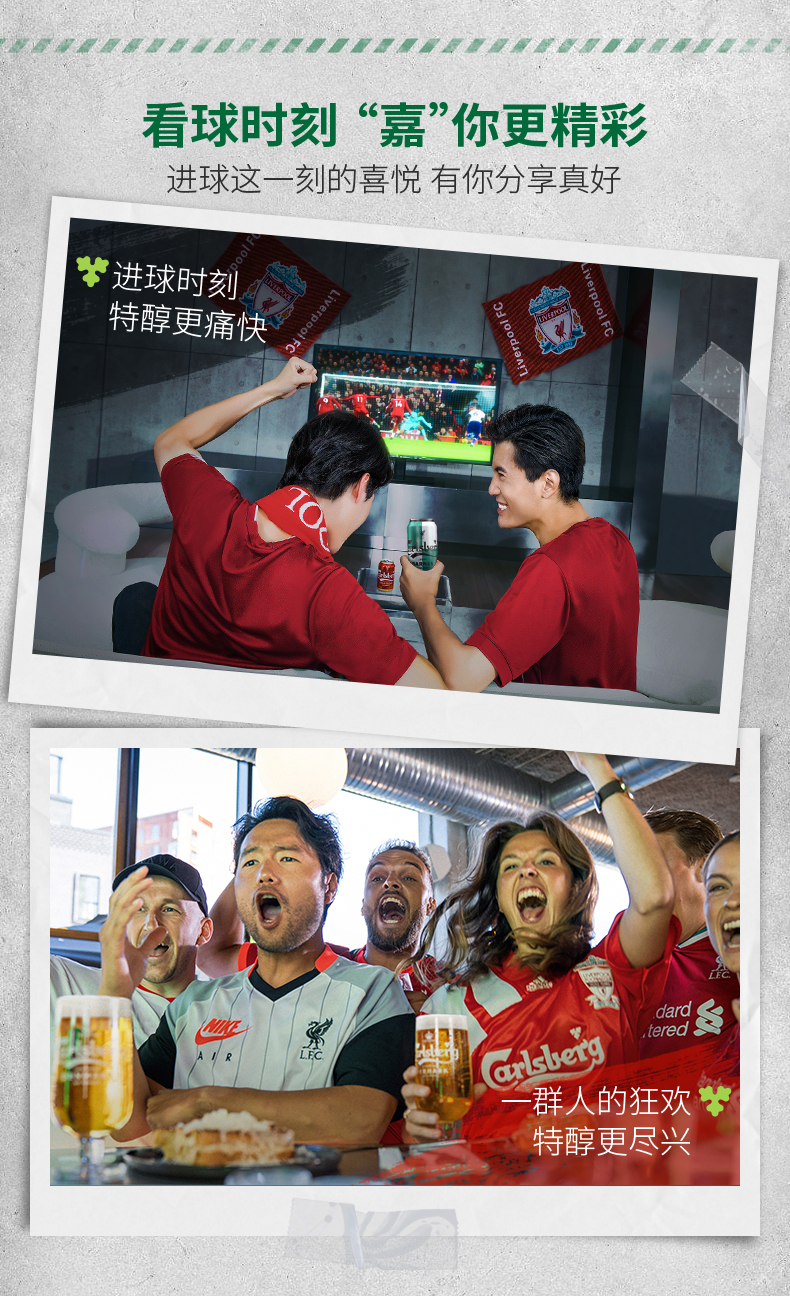嘉士伯Carlsberg 特醇啤酒 500ml*18罐 图10