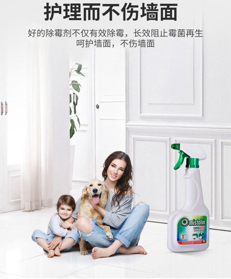 欧洲进口  Mistolin 米斯特林 墙体墙面除霉剂 500ml 图4