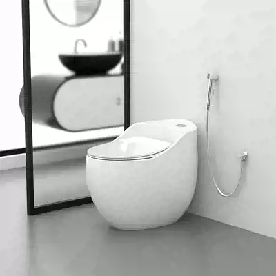 German Dijue small egg pumping small apartment toilet toilet household powder room deodorant toilet toilet toilet