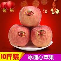 2020 fresh Shanxi red Fuji Apple rock candy heart fruit crisp sweet big fruit now picked up 10kg gift