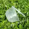 Transparent round plastic bowl Disposable lunch box Soup bowl Fast food box Delivery preservation box Fruit box 100 sets