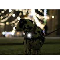 KIRSTING safety light glowing pendant dog night walk flashing multi-function constant bright wide angle of sight
