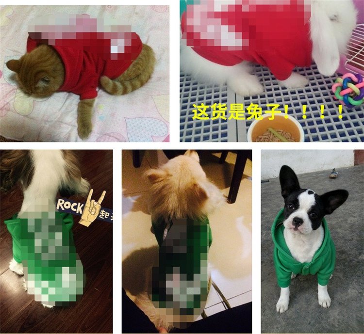 Ưu đãi đặc biệt 9,9 nhân dân tệ gói quần áo thú cưng mùa xuân Quần áo chó Teddy quần áo mùa xuân và mùa thu hơn gấu áo len trang phục mèo - Quần áo & phụ kiện thú cưng phụ kiện cho chó poodle