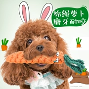 Pet đồ chơi chó bông dây củ cải mol mol đào tạo Teddy Bear Golden Retriever chó con mèo và chó đồ chơi vật nuôi