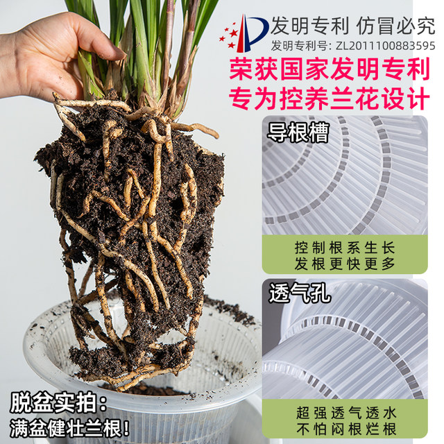 Meishi orchid pot pot resin plastic set pot modern thickening root control breathable super ສີມ່ວງ sand orchid potted potted ພິເສດ