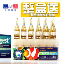 Cody nitrification bacteria water quality stabilizer bacteria grain aquarium fish tank open tank nitrifying bacteria