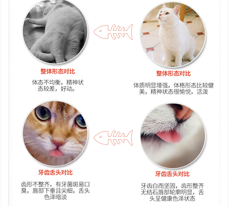 8 viên nang mèo chính hãng Đức của Đức tẩy giun mèo mèo diệt côn trùng - Cat / Dog Medical Supplies giá máy siêu âm thú y