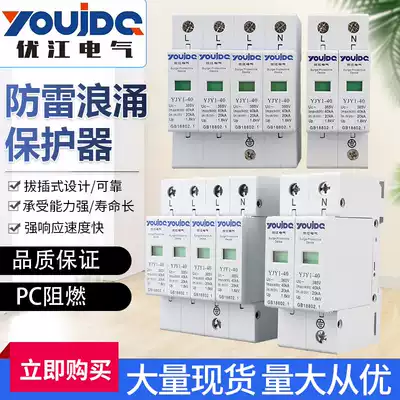 Surge protector 4p arrester household secondary surge arrester 20KA 40KA 60KA 80KA 80KA 385V