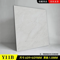Y11b 60x60