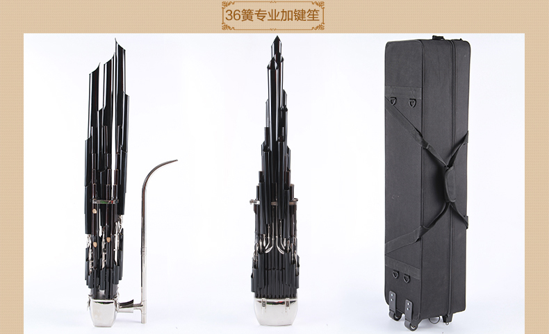 Nhạc cụ của Wang 21 bộ chuyên nghiệp mùa xuân bamboo cây tre tím mịn level cấp độ chơi - Nhạc cụ dân tộc đàn tranh cổ trang