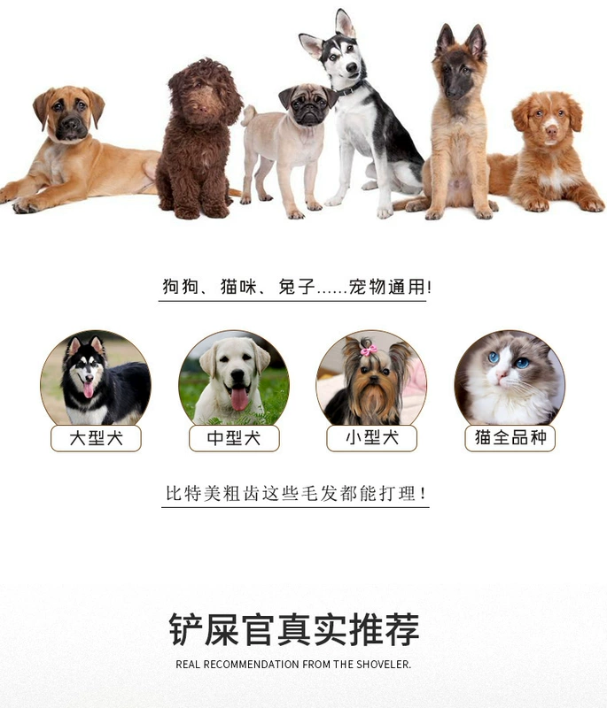 Thú cưng cắt tóc chó cạo râu đẩy chó cắt lông Teddy công cụ cắt mèo bit làm đẹp 200 - Cat / Dog Beauty & Cleaning Supplies