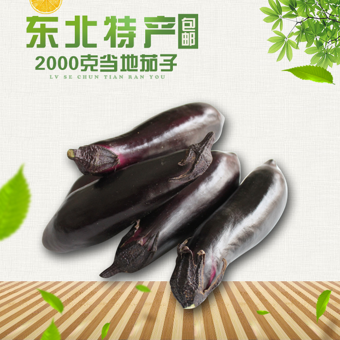 Northeast seasonal vegetables from the origin of fresh eggplant purple eggplant fragrant eggplant 5 pounds