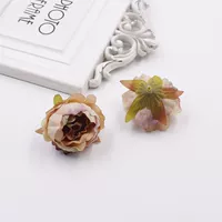 Цвета шампанского