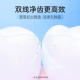 Usmile Ultra -Fine Dual -Line Dental Visa Liners, небольшие артефакты, гиппокамп, гиппокамп -ролик Mint Home