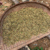 Selected Shennongjia wild Honeysuckle Tea Shennongjia High mountain picking Qinghuo tea whole dry goods 250g