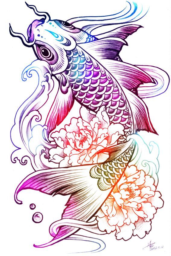 聚丰汇水族用品