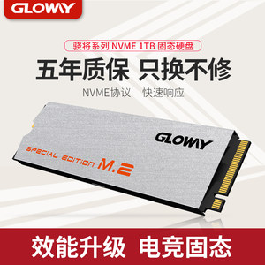 Gloway光威VAL系列1TB M.2接口（NVME协议）SSD固态硬盘