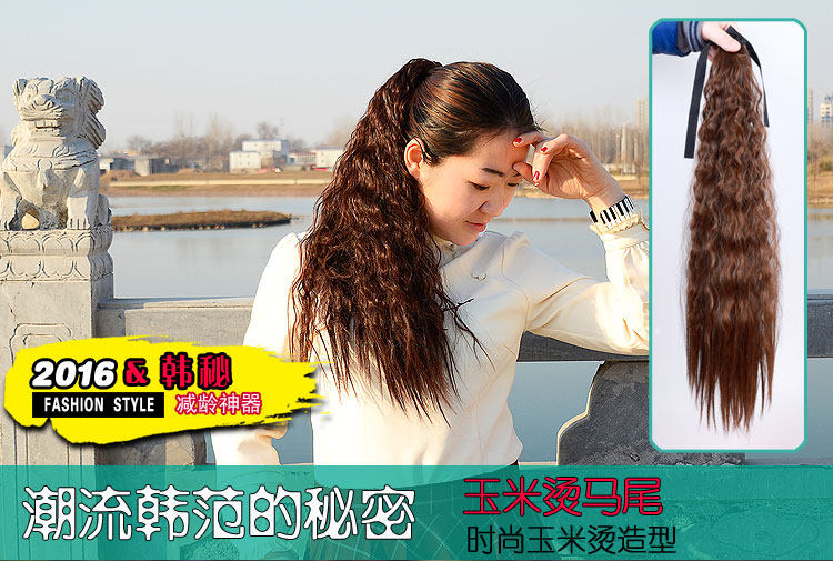 Extension cheveux - Chignon - Ref 241106 Image 15