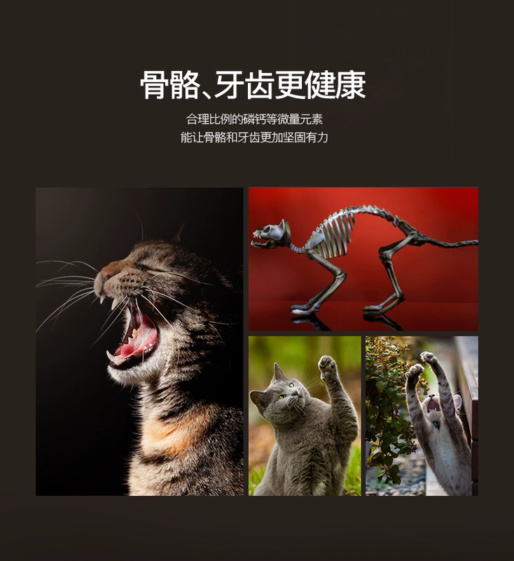LIGern trò chơi ban đầu cá biển sâu và rau thịt hạt cá biển tự nhiên toàn thời gian thức ăn cho mèo 10kg thức ăn cho mèo toàn thời gian cộng với Philippine - Cat Staples Hạt Whiskas cho mèo con