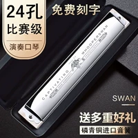 Dian Hall Performance Class Viopecture Silver [Отправьте полный набор подарков]