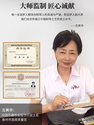 Оригинальная импортная профессиональная элитная губная гармошка для взрослых, Германия, подарок на день рождения