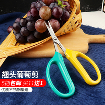 Head grape scissors fruit picking cutting gardening oranges fruit cutting fruit pruning special scissors