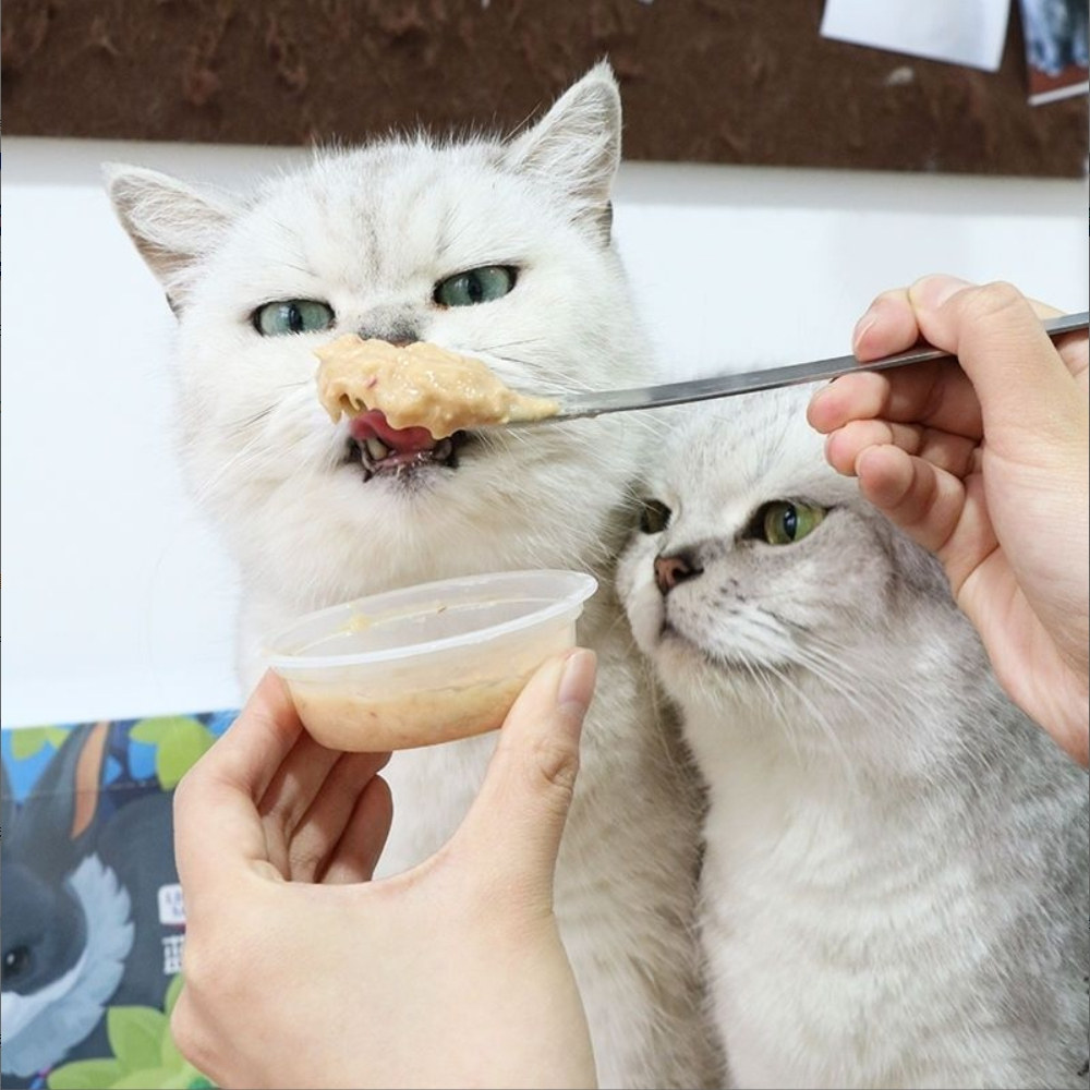 2026年养宠潮下，如何选择高品质莱柴狗饭鲜粮和罐头?