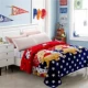 Flannel chăn giường san hô lông cừu mùa đông mỏng sinh viên độc thân ký túc xá hai mặt cộng với nhung ấm đôi