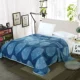 Mùa đông đơn giản san hô lông cừu tấm đơn mảnh cộng với nhung dày flannel đệm đơn pad duy nhất đôi chăn sang trọng mẫu ga phủ giường