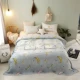 Flannel chăn giường san hô lông cừu mùa đông mỏng sinh viên độc thân ký túc xá hai mặt cộng với nhung ấm đôi