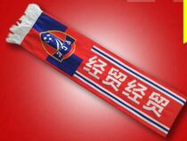 Article 10 Ordering Factory Thermal Transfer Advertising Gift scarves for Ultra Scarves fans scarves publicity scarves set to do