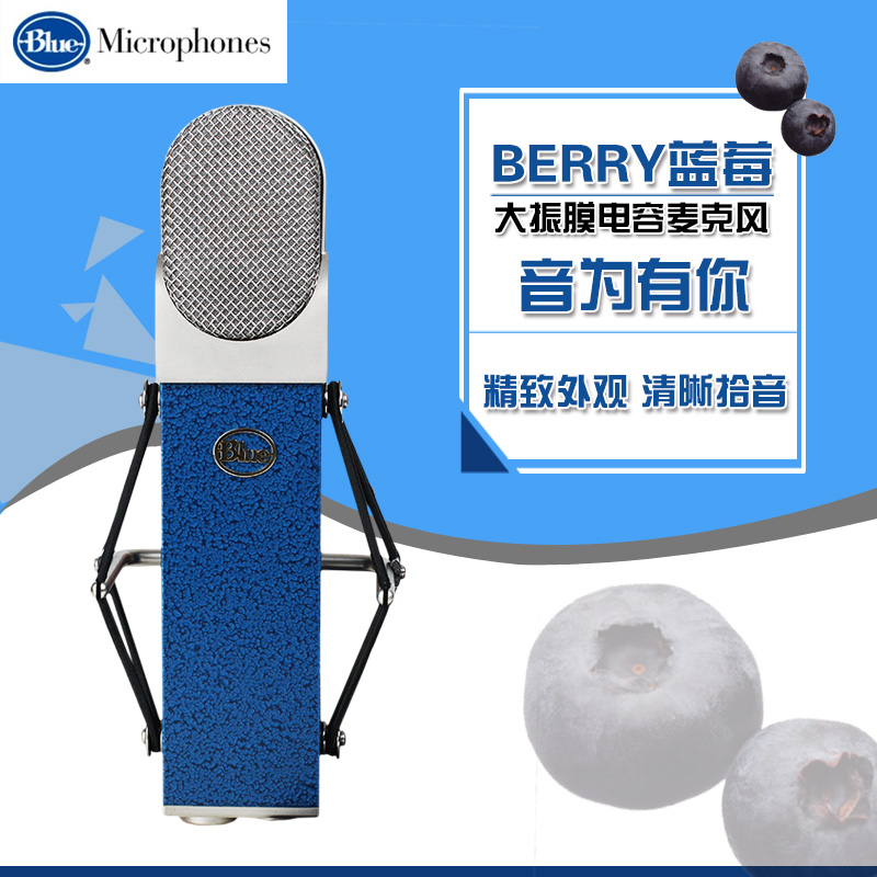 Blue Blueberry Blueberry Blueberry Professional Capacitor Microphone Recording Studio Guitar Recording Music Making Microphones