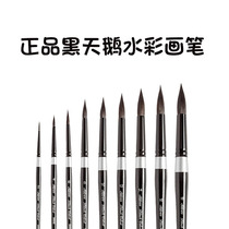 Imported US Black Velvet Black swan Velvet watercolor pen round head watercolor pen 3000s