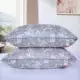 Một cặp gối jacquard gối lõi gối miễn phí áo lông nhung khách sạn nhà người lớn đơn học sinh gối mềm gối - Gối